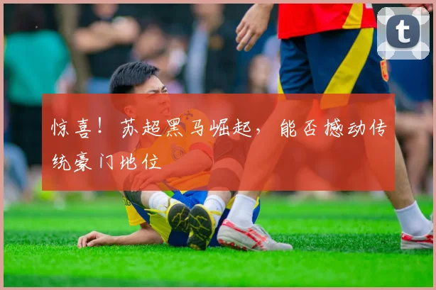 惊喜!苏超黑马崛起,能否撼动传统豪门地位