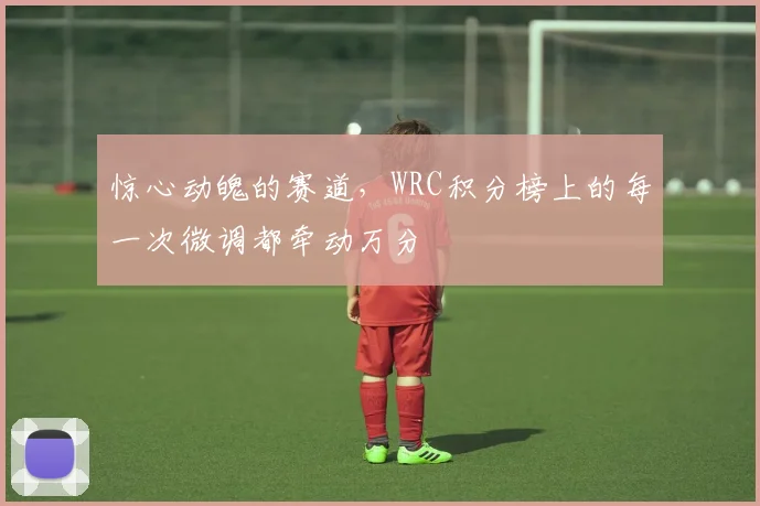 惊心动魄的赛道,WRC积分榜上的每一次微调都牵动万分