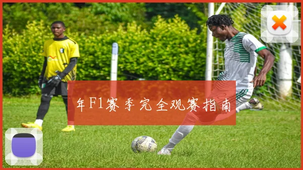 年F1赛季完全观赛指南